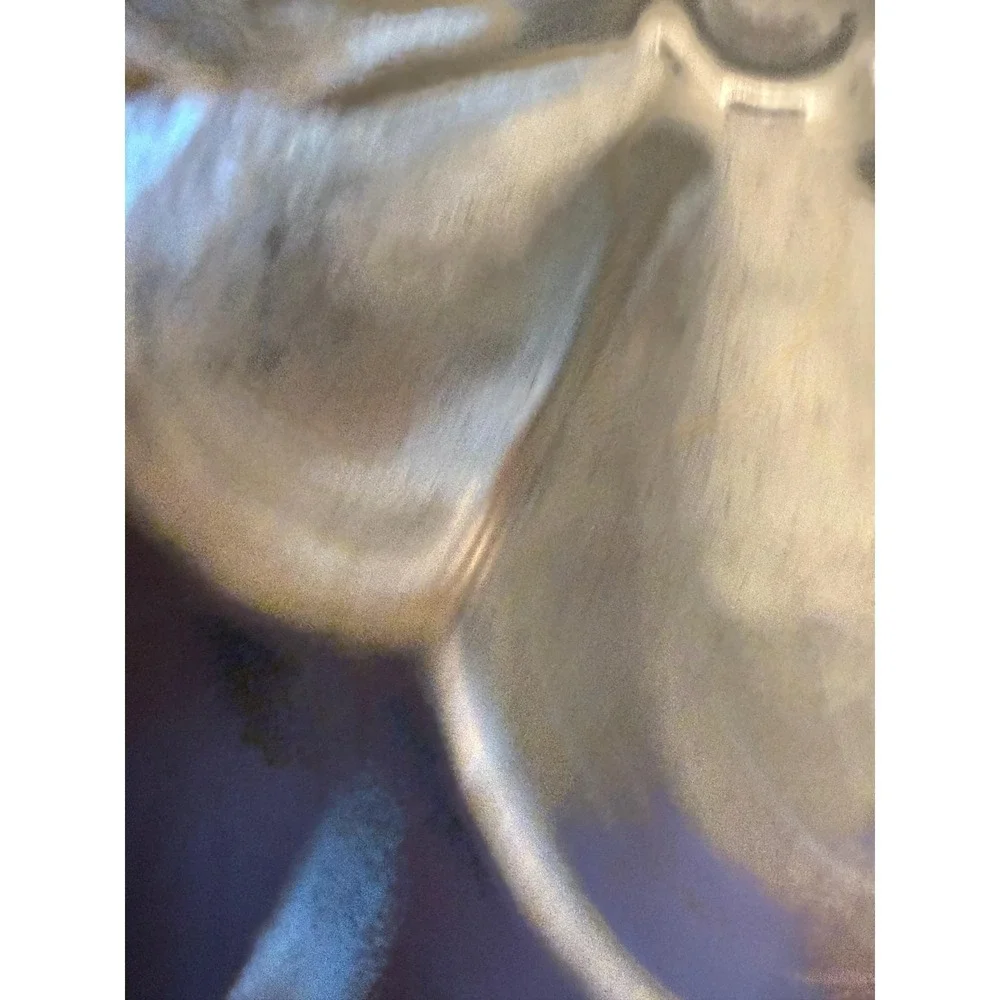 Tea Caddy Canister Unisex OS Silver Excellent Engraved Scalloped Metal